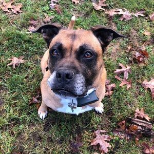 Meet your Posher, Claire